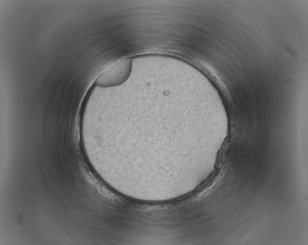 X0000111250892200907301324