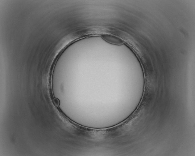 X0000111250893200907301324