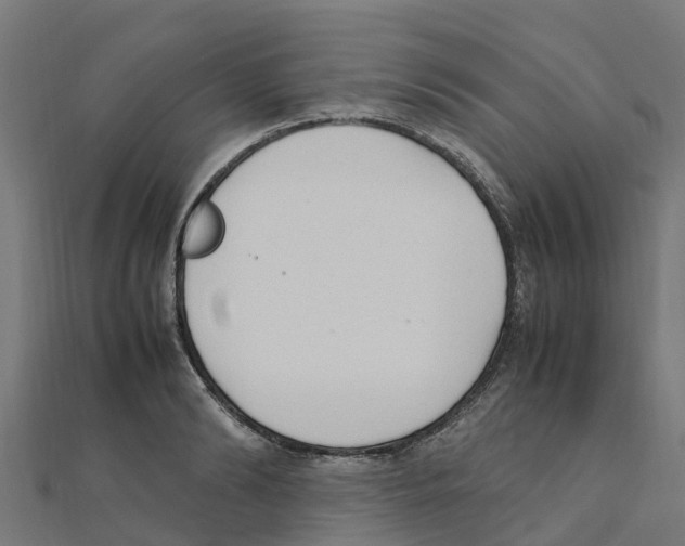 X0000111250894200907301324