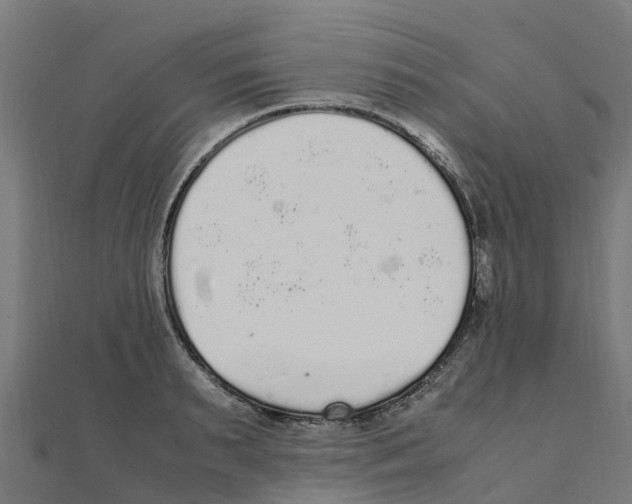 X0000111250895200907301324