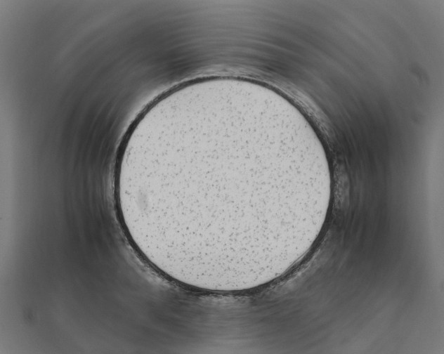 X0000111250896200907301324