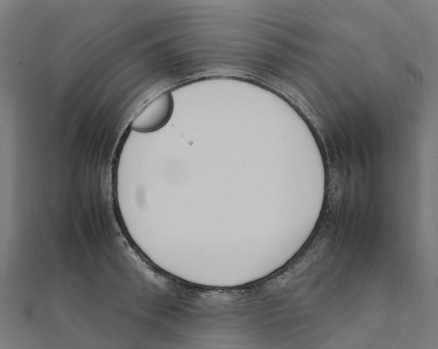 X0000111250898200907301324