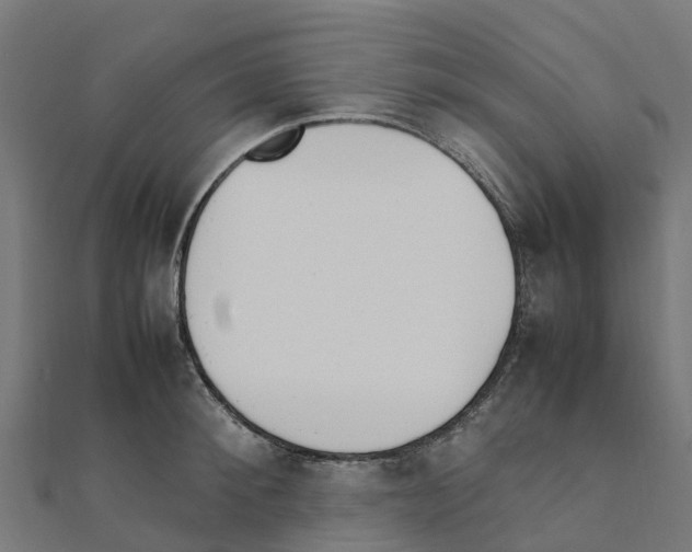 X0000111250900200907301324