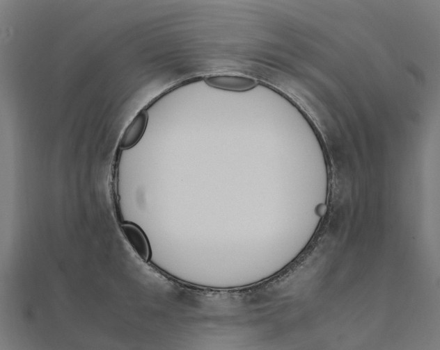 X0000111250901200907301324