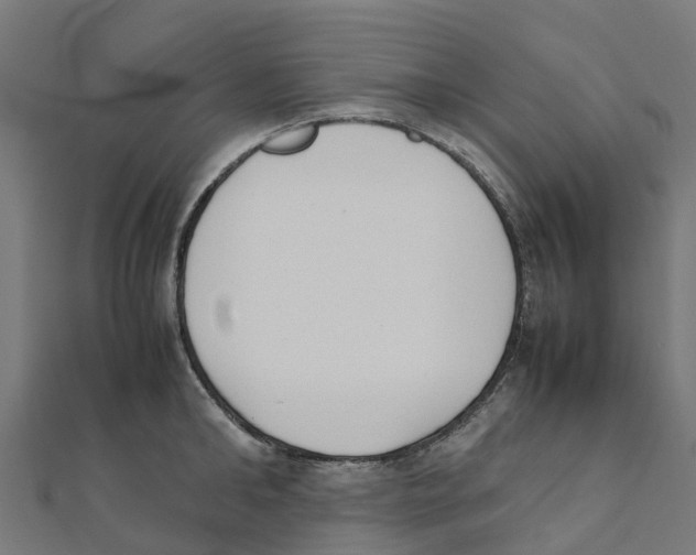 X0000111250902200907301324