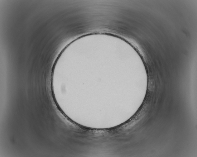 X0000111250903200907301324