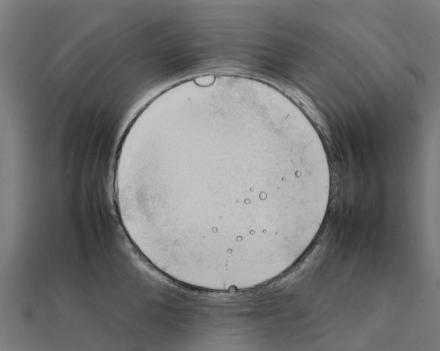 X0000111250904200907301324