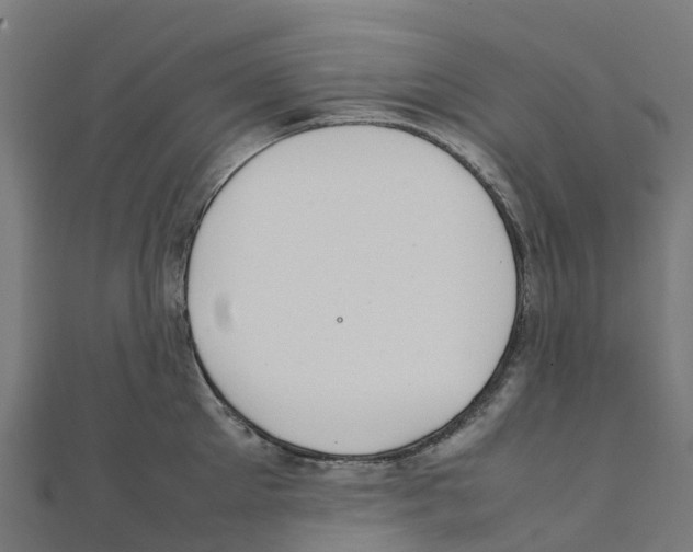 X0000111250905200907301324