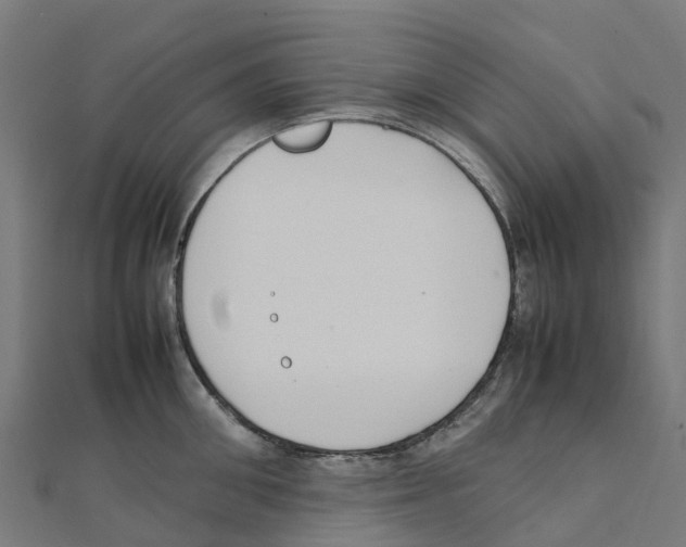 X0000111250906200907301324