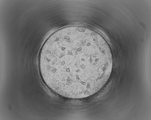 X0000111250907200907301324