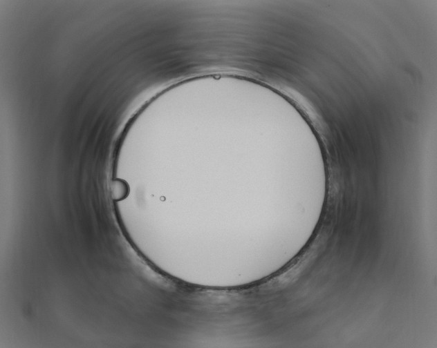 X0000111250910200907301324