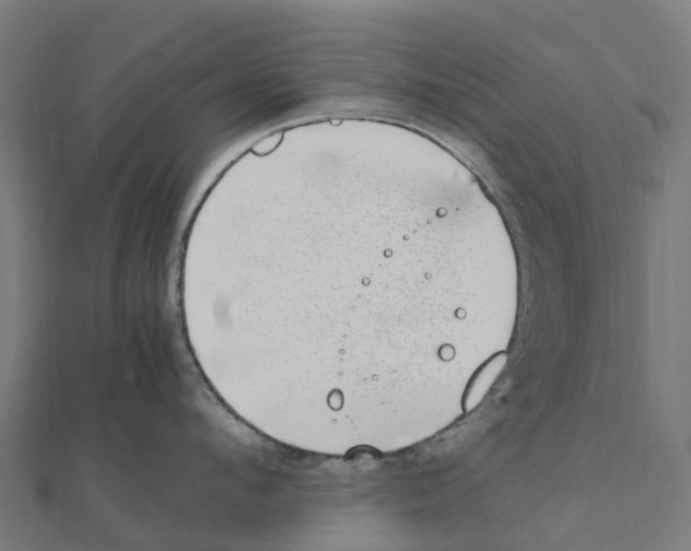 X0000111250912200907301324