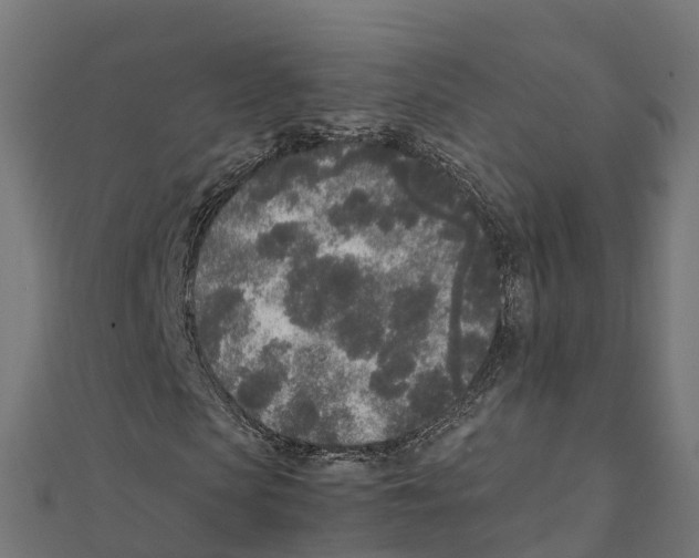 X0000111250913200907301323