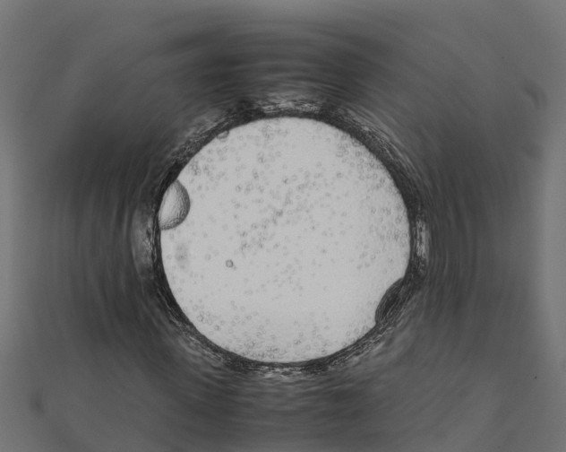 X0000111250915200907301324