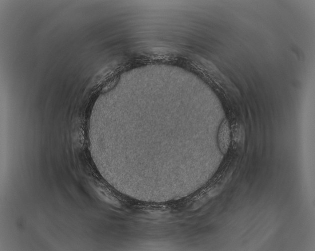 X0000111250916200907301324