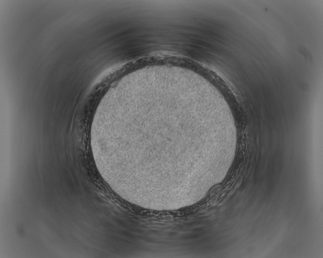 X0000111250919200907301324