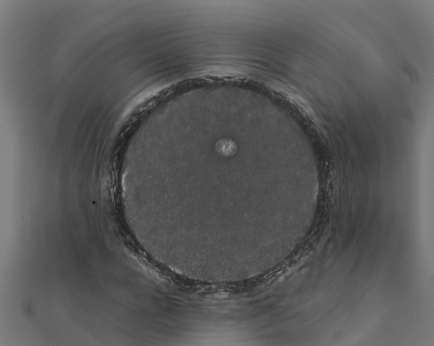 X0000111250920200907301324