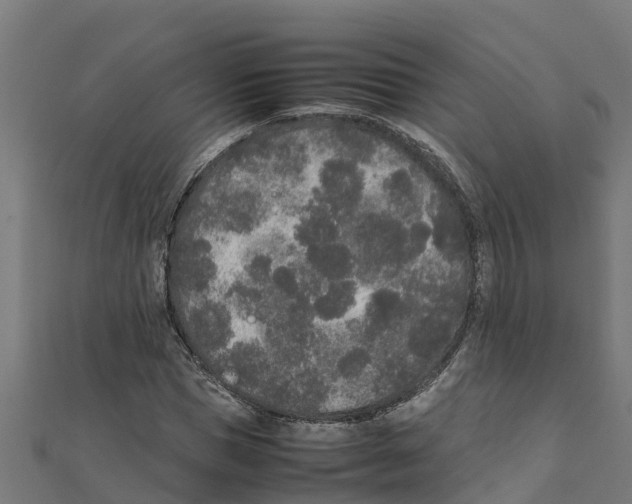 X0000111250921200907301324