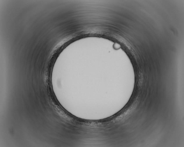 X0000111250922200907301324