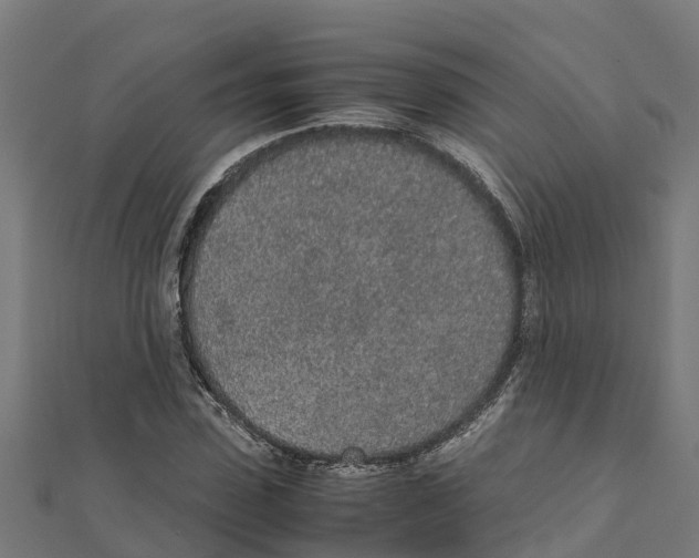 X0000111250923200907301324