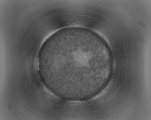 X0000111250925200907301324