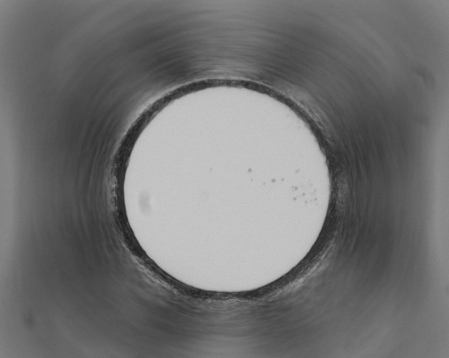 X0000111250926200907301324