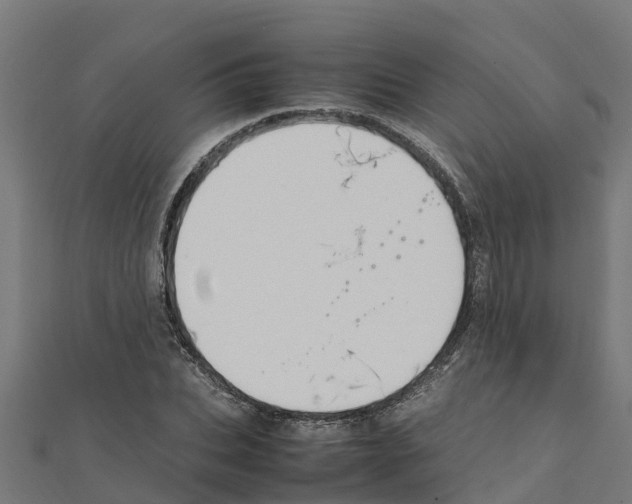 X0000111250927200907301324