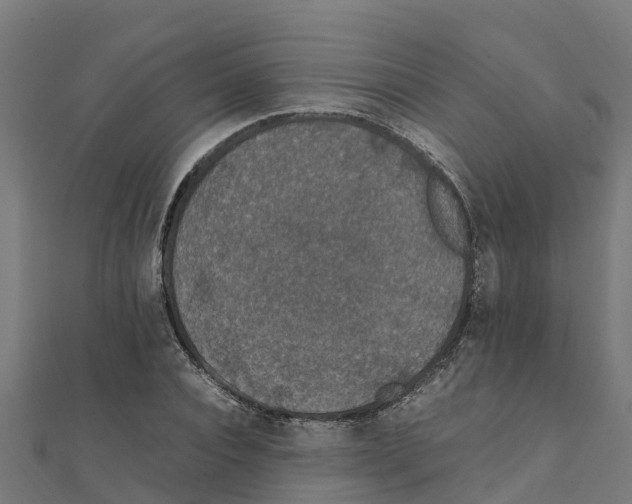 X0000111250928200907301324