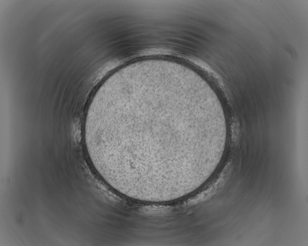 X0000111250929200907301324