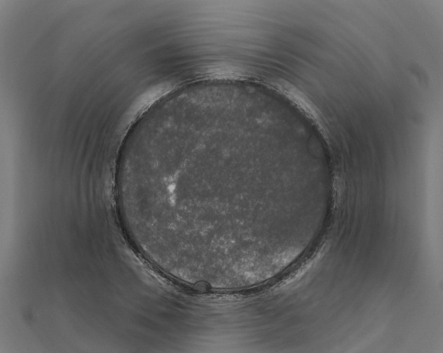 X0000111250930200907301324