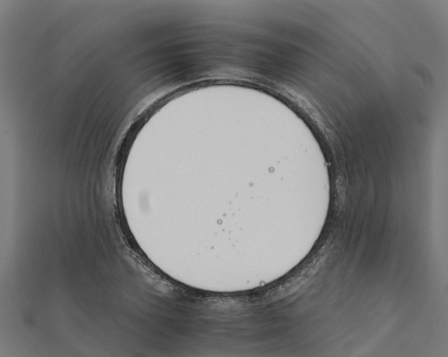 X0000111250931200907301324