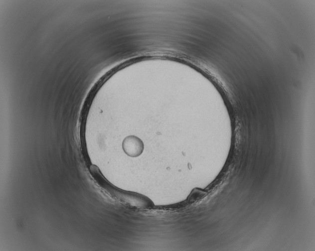 X0000111250932200907301324