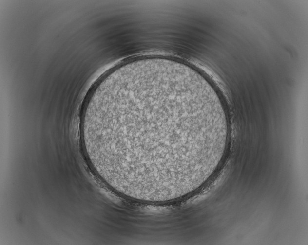 X0000111250933200907301324