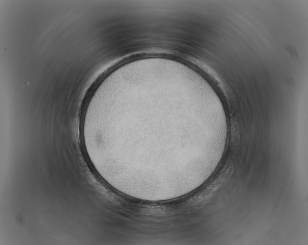 X0000111250935200907301324