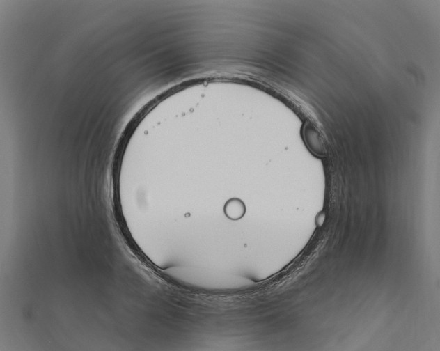 X0000111250936200907301324