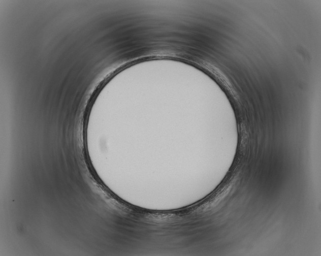 X0000111250939200907301324