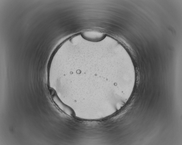 X0000111250940200907301324