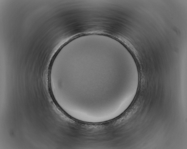 X0000111250941200907301324