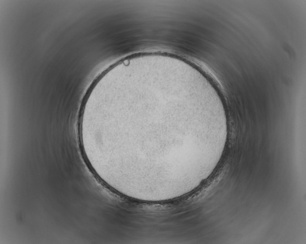 X0000111250943200907301324