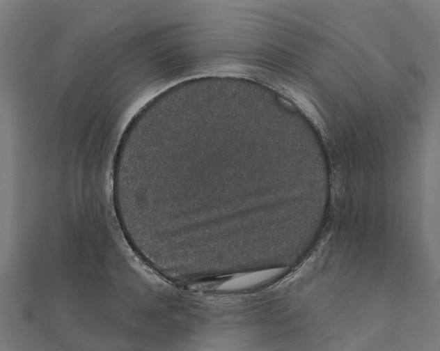 X0000111250944200907301324