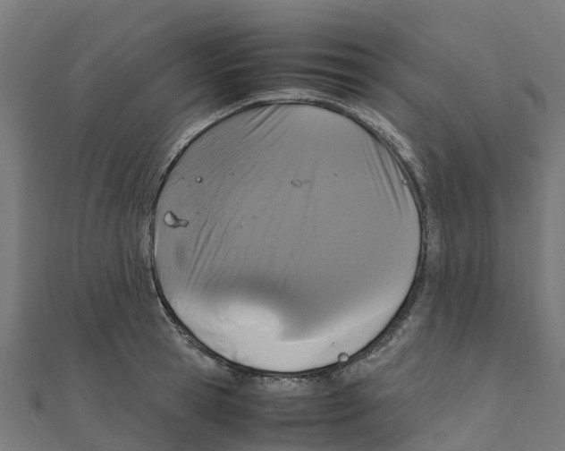 X0000111250945200907301324