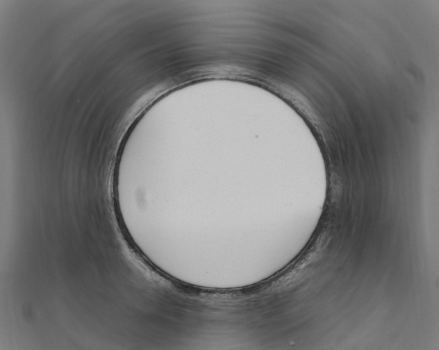 X0000111250946200907301324