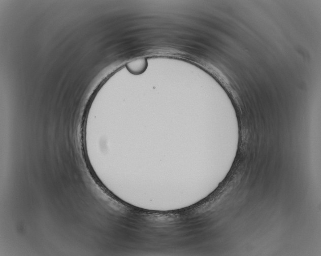 X0000111250947200907301324