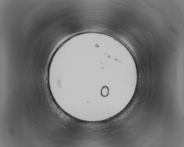 X0000111250948200907301324