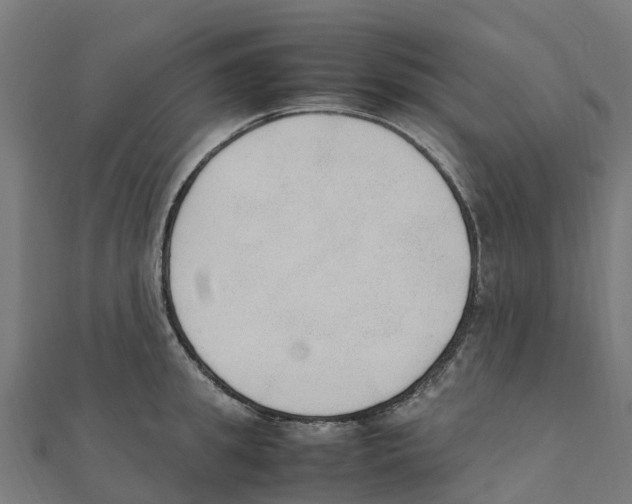 X0000111250949200907301324