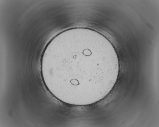 X0000111250950200907301324