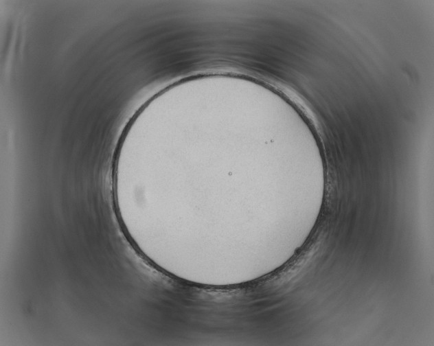 X0000111250951200907301324