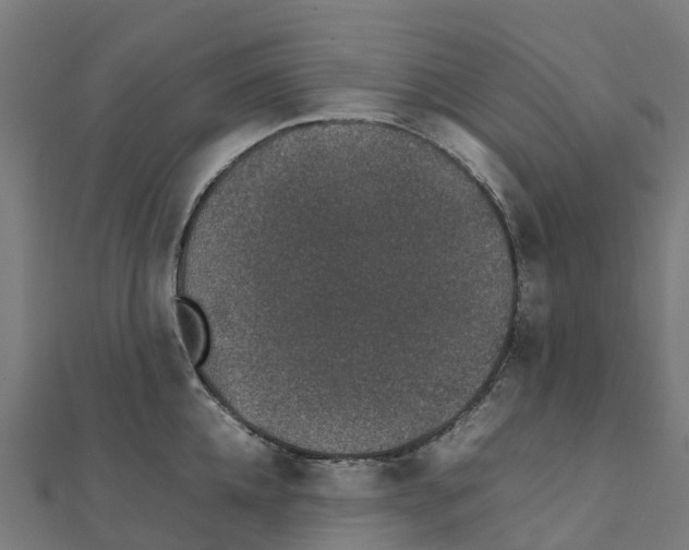 X0000111250952200907301324