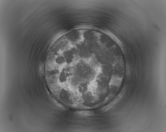 X0000111250953200907301324