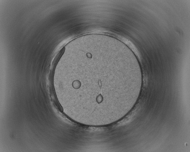 X0000111250954200907301324